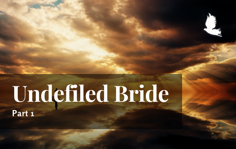 undefiled bride poster